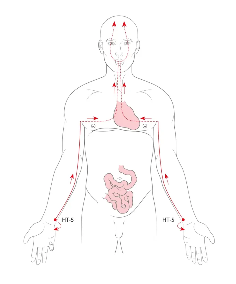 Divergentní dráhy podle tradiční čínské medicíny