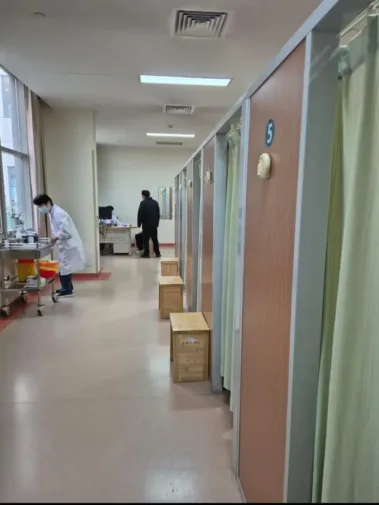 Studijní pobyt v Číně na Tianjin University of Traditional Chinese Medicine Škola Čínské Medicíny Brno Tradiční Čínska Medicína Česká Republika