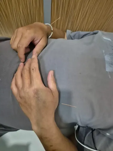 Studijní pobyt v Číně na Tianjin University of Traditional Chinese Medicine Škola Čínské Medicíny Brno Tradiční Čínska Medicína Česká Republika