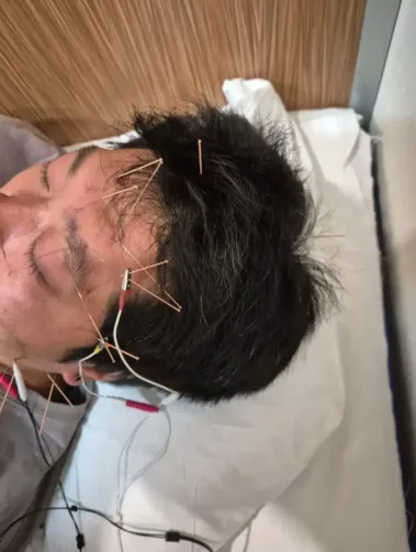Studijní pobyt v Číně na Tianjin University of Traditional Chinese Medicine Škola Čínské Medicíny Brno Tradiční Čínska Medicína Česká Republika