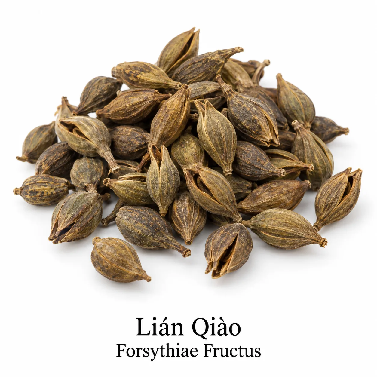 Lian Qiao - surovina