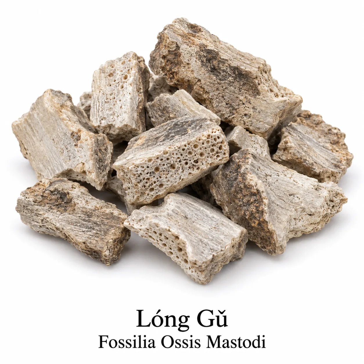 Long Gu - surovina