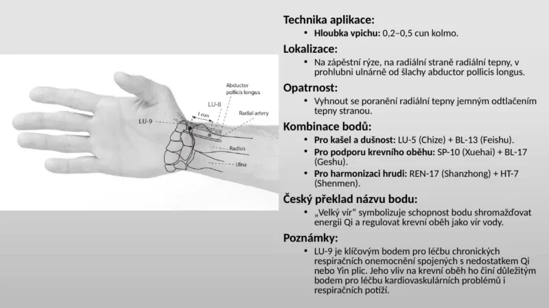 Slide z výuky: akupunkturní bod LU-9 Taiyuan, technika vpichu a kombinace