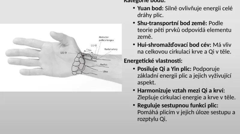 Slide z výuky: akupunkturní bod LU-9 Taiyuan, kategorie a účinky
