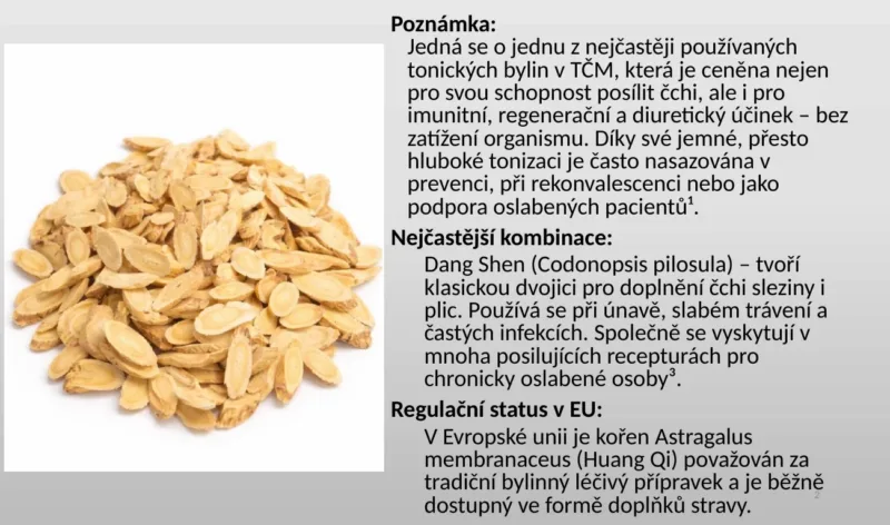 Slide z výuky: bylina Huang Qi, kombinace a regulační status v EU