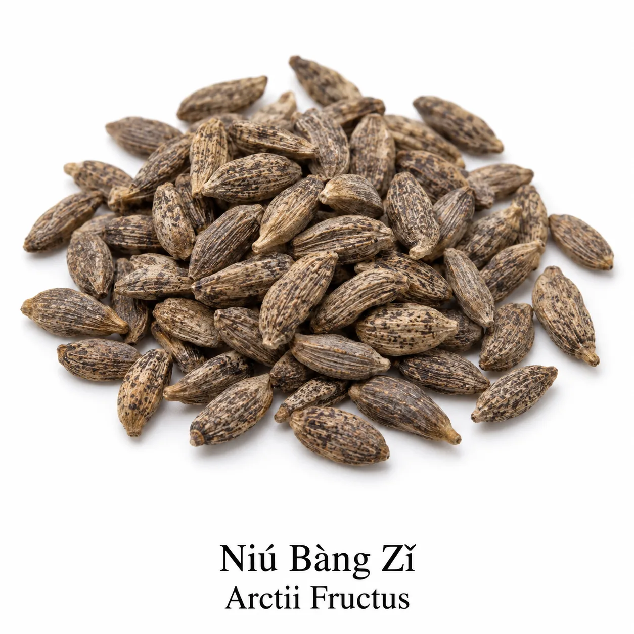 Niu Bang Zi - surovina