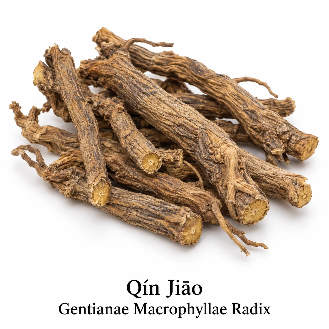 Qin Jiao - surovina
