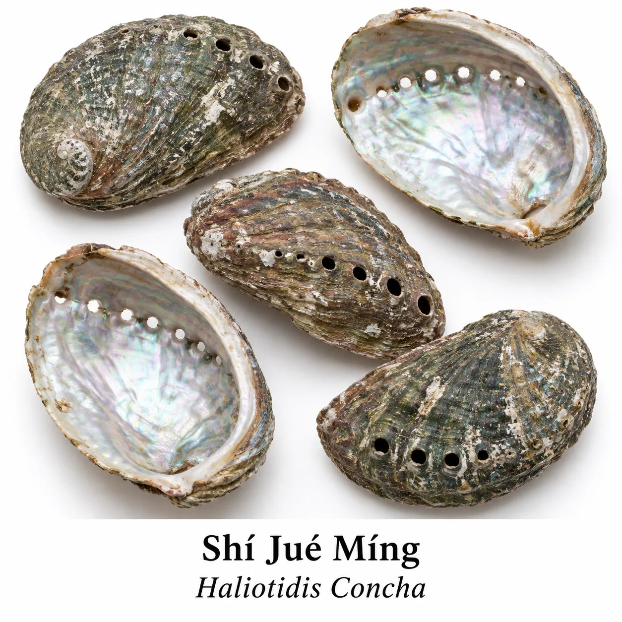 Shi Jue Ming - surovina