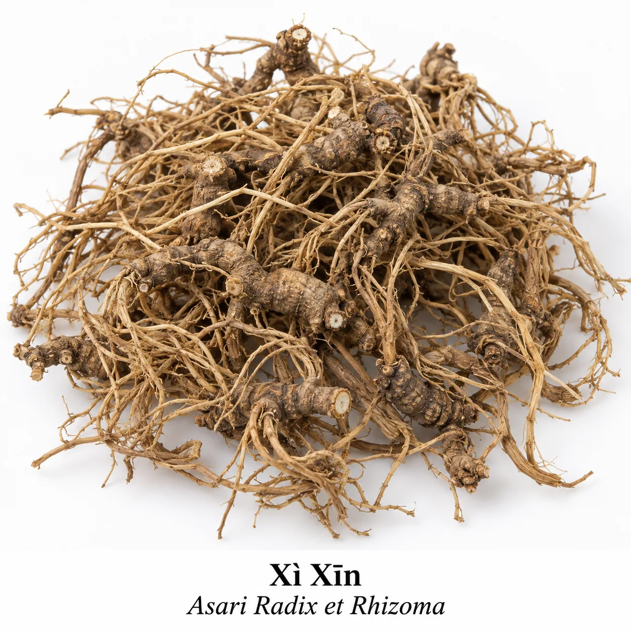Xi Xin - surovina