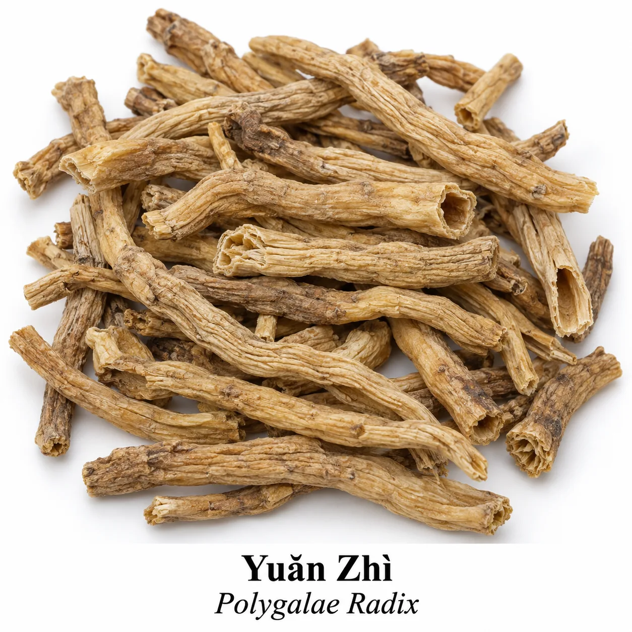 Yuan Zhi - surovina