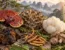 Lesklokorka lesklá, maitake, hericium, chaga a housenice čínská s horskou scenérií