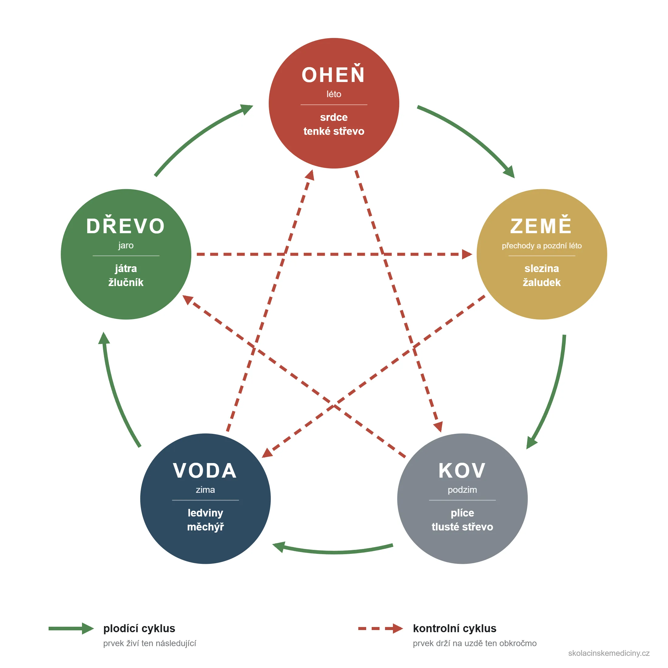 Diagram pěti prvků Wu Xing s orgány, ročními obdobími a plodícím i kontrolním cyklem