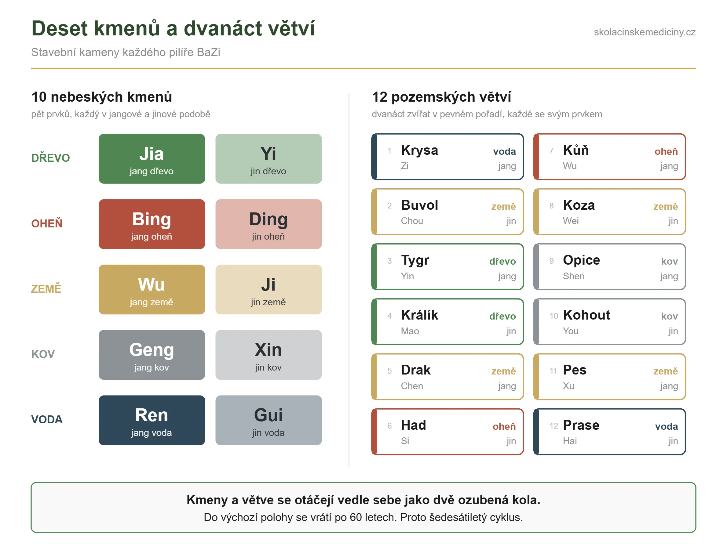 Přehled deseti nebeských kmenů a dvanácti pozemských větví s jejich prvky